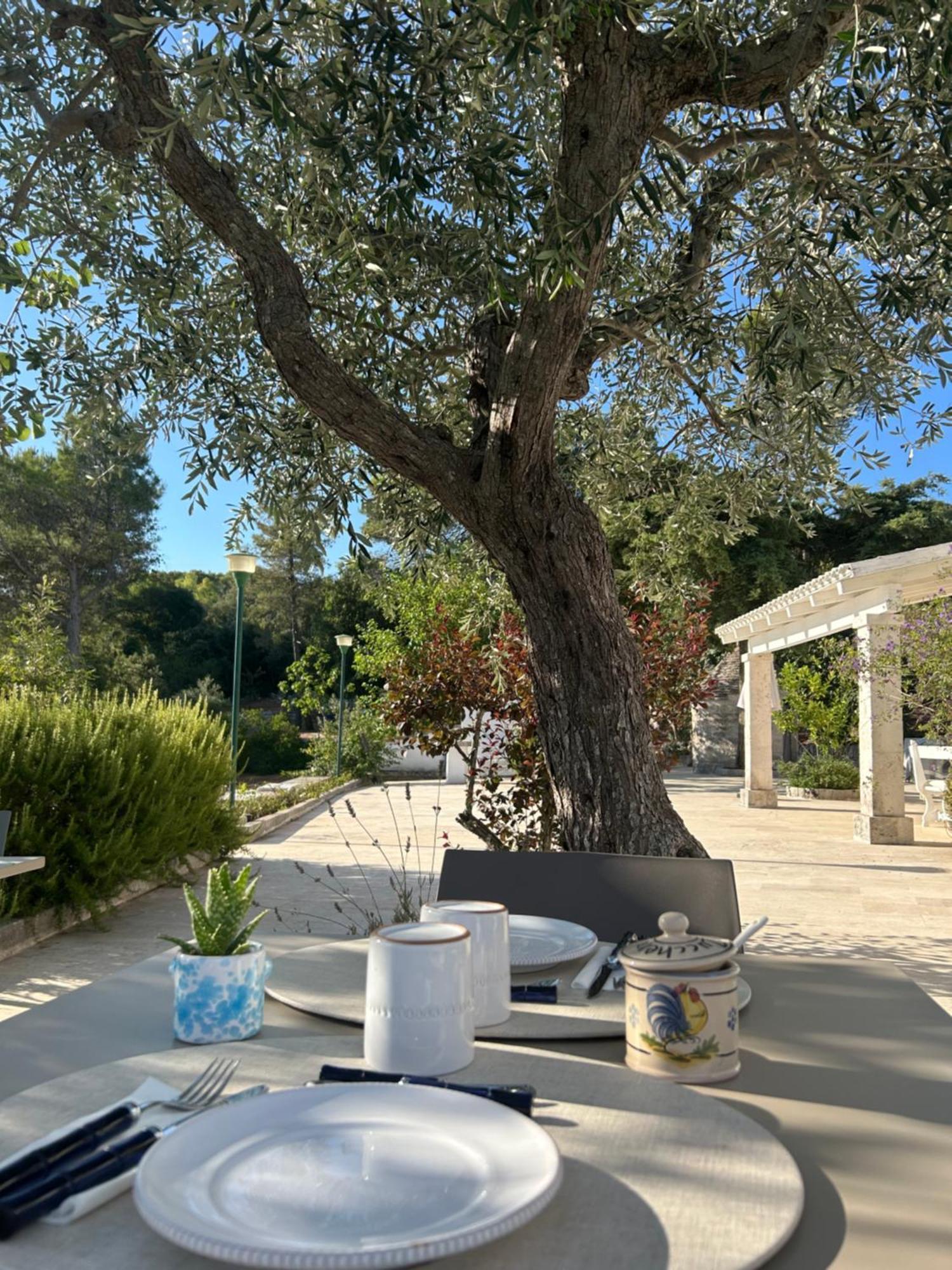 Il Trullo Di Simona Bed and Breakfast Locorotondo Eksteriør billede